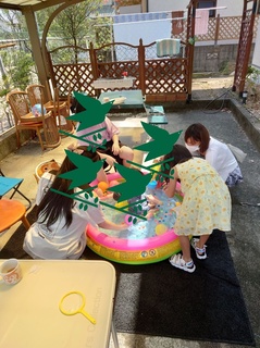 S__322969602.jpg